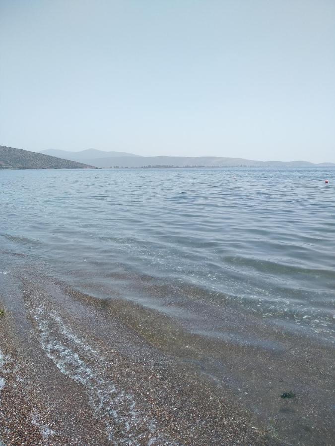 Πενυ Καντια 1Ος Ν 4 Candia Exterior foto